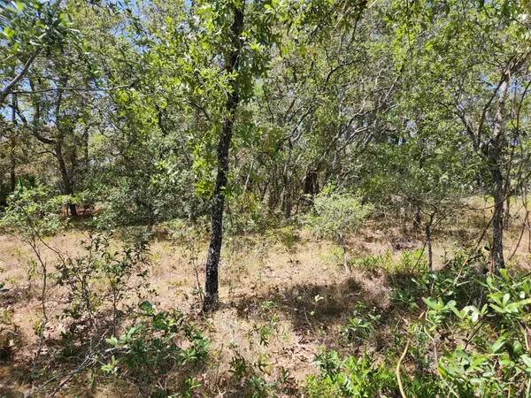 Weeki Wachee, FL 34613,0 DAY OWL AVE #Lot # 7