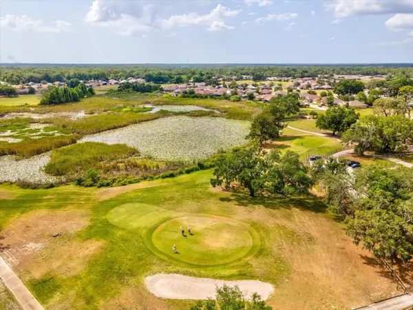 Hudson, FL 34669,13618 NITI DR