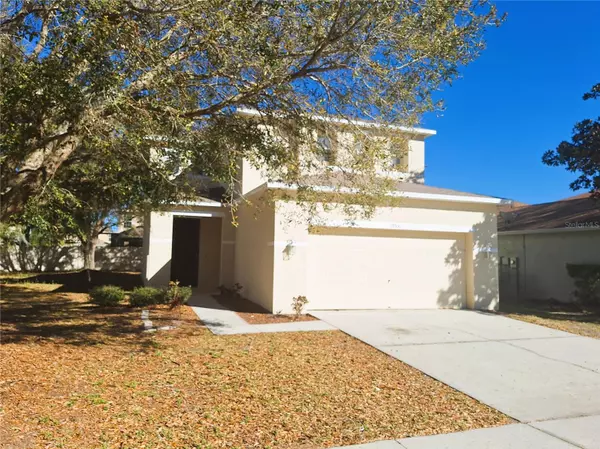 Land O Lakes, FL 34638,19551 TIMBERBLUFF DR