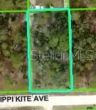 Brooksville, FL 34614,11391 MISSISSIPPI KITE AVE