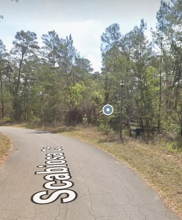 Homosassa, FL 34446,13 SCABIOSA CT