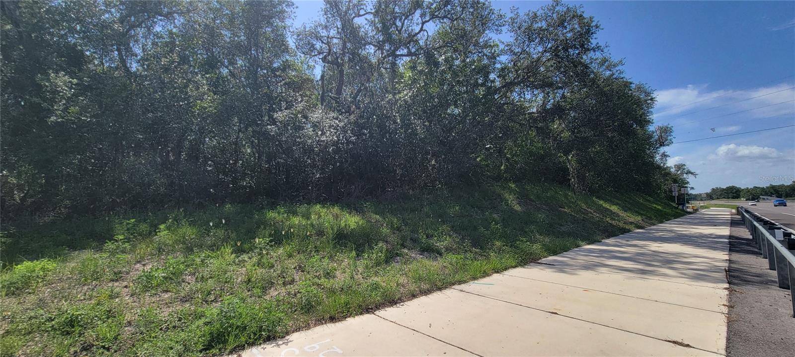 Dade City, FL 33523,0 CORTEZ BLVD