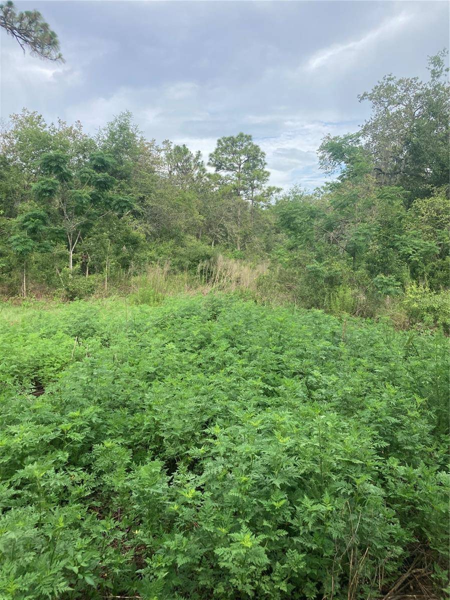 Hudson, FL 34669,10553 HAZEL AVE