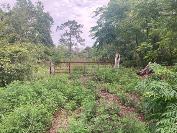 10553 HAZEL AVE, Hudson, FL 34669