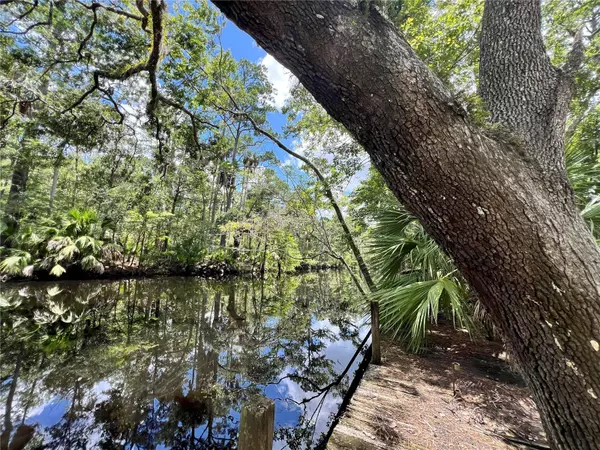 Steinhatchee, FL 32359,1518 PALM ST NE