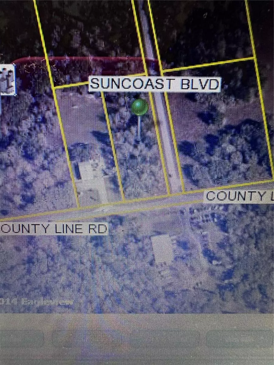 Spring Hill, FL 34608,0 COUNTY LINE RD