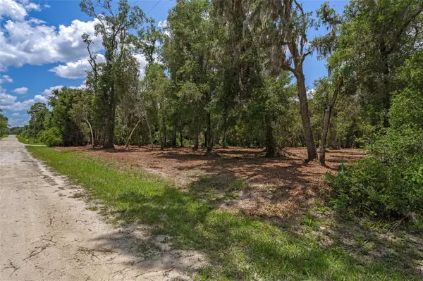 Webster, FL 33597,00 RUBY AVE