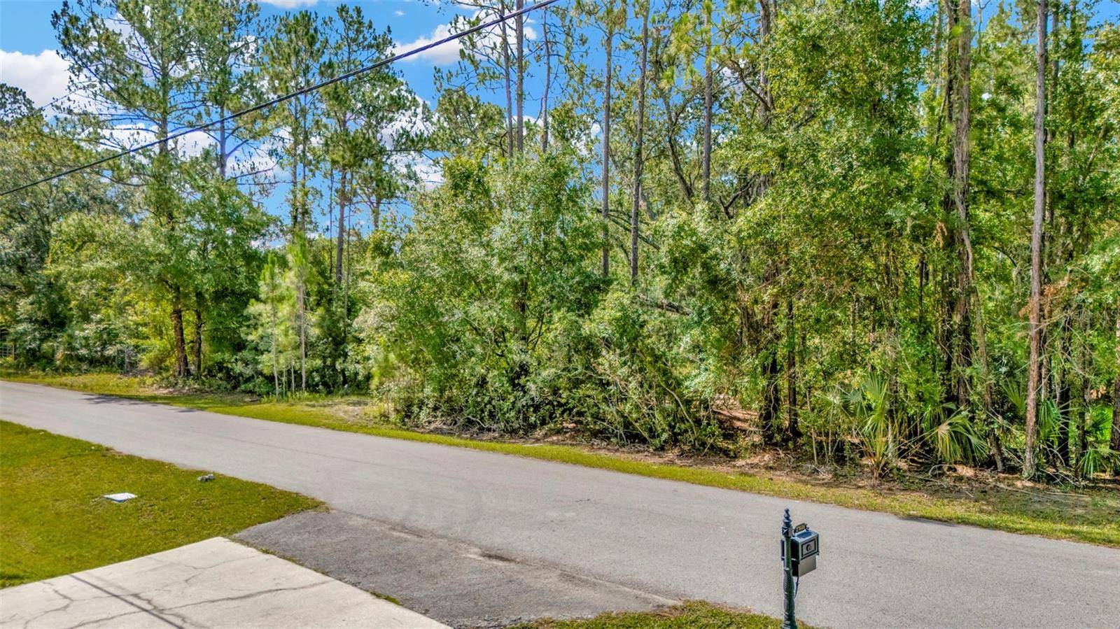Wesley Chapel, FL 33544,27422 GREEN WILLOW RUN
