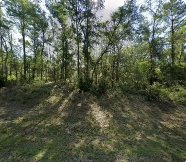 8965 N LILY DR, Dunnellon, FL 34434