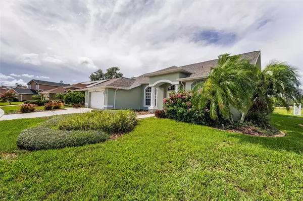 New Port Richey, FL 34654,12519 ROSELAND DR