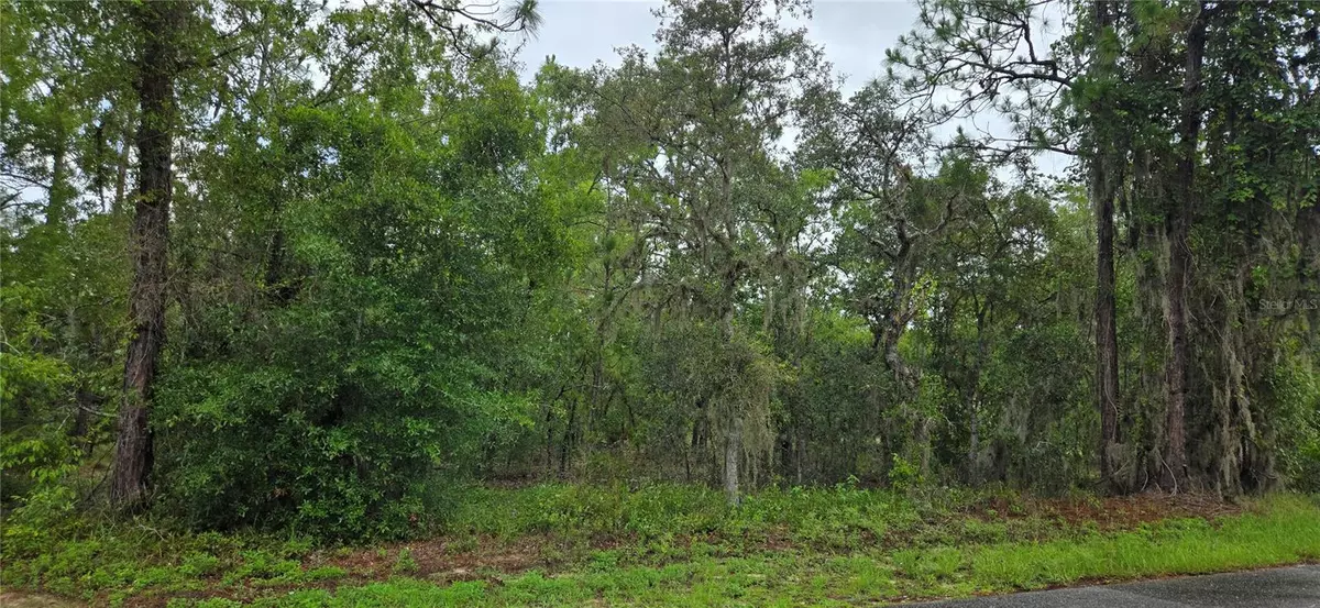 Lecanto, FL 34461,1308 N PROSPECT AVE