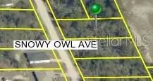 Brooksville, FL 34614,0 SNOWY OWL AVE