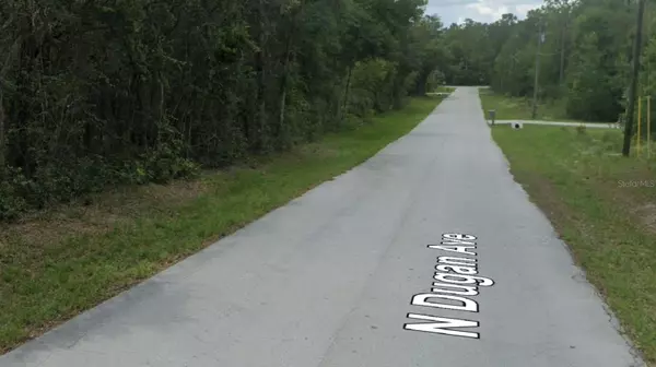 Inverness, FL 34453,367 N DUGAN AVE