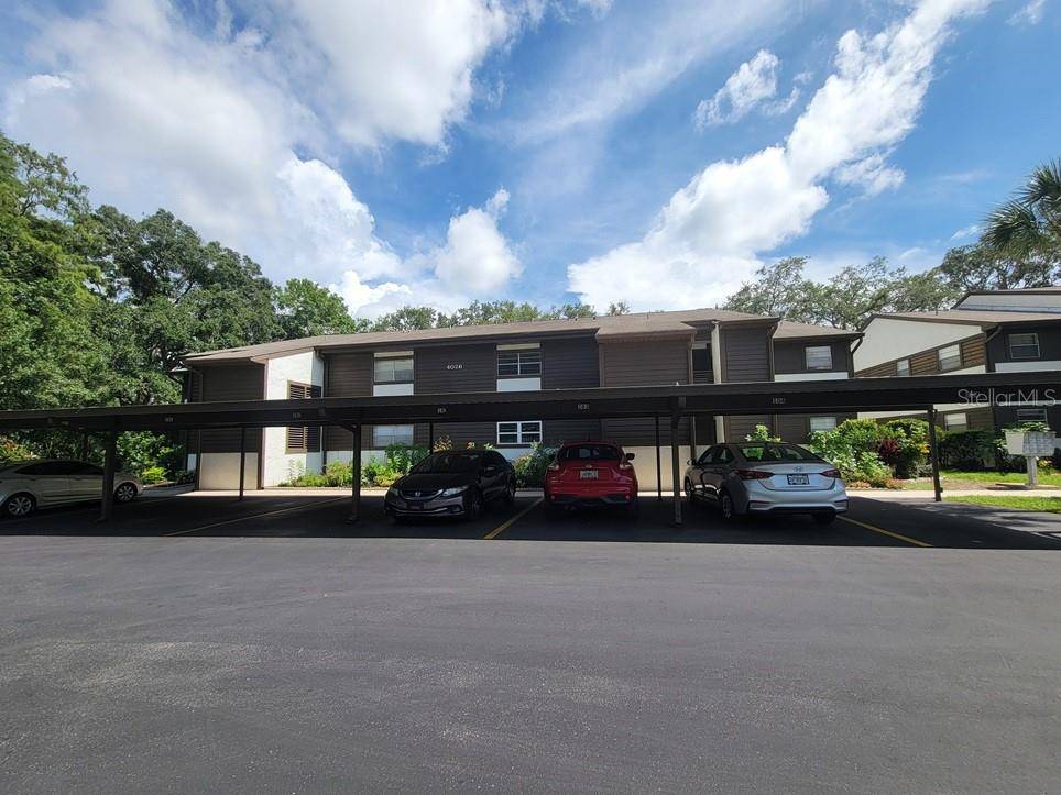 New Port Richey, FL 34653,4026 PASSPORT LN #204