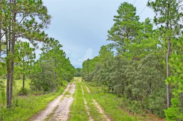 Dunnellon, FL 34433,9423 N TAMI PATH