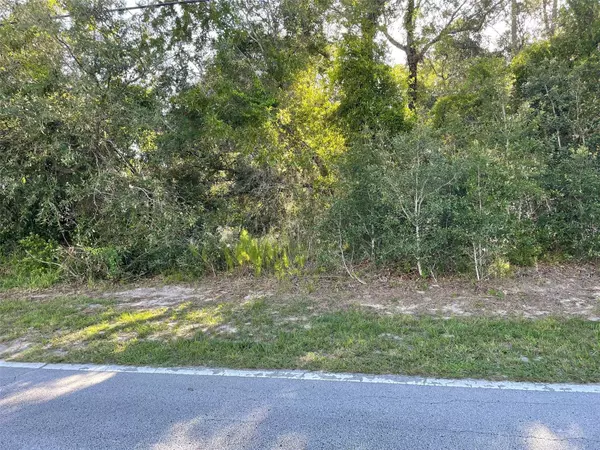 Weeki Wachee, FL 34613,8217 NIGHTINGALE RD