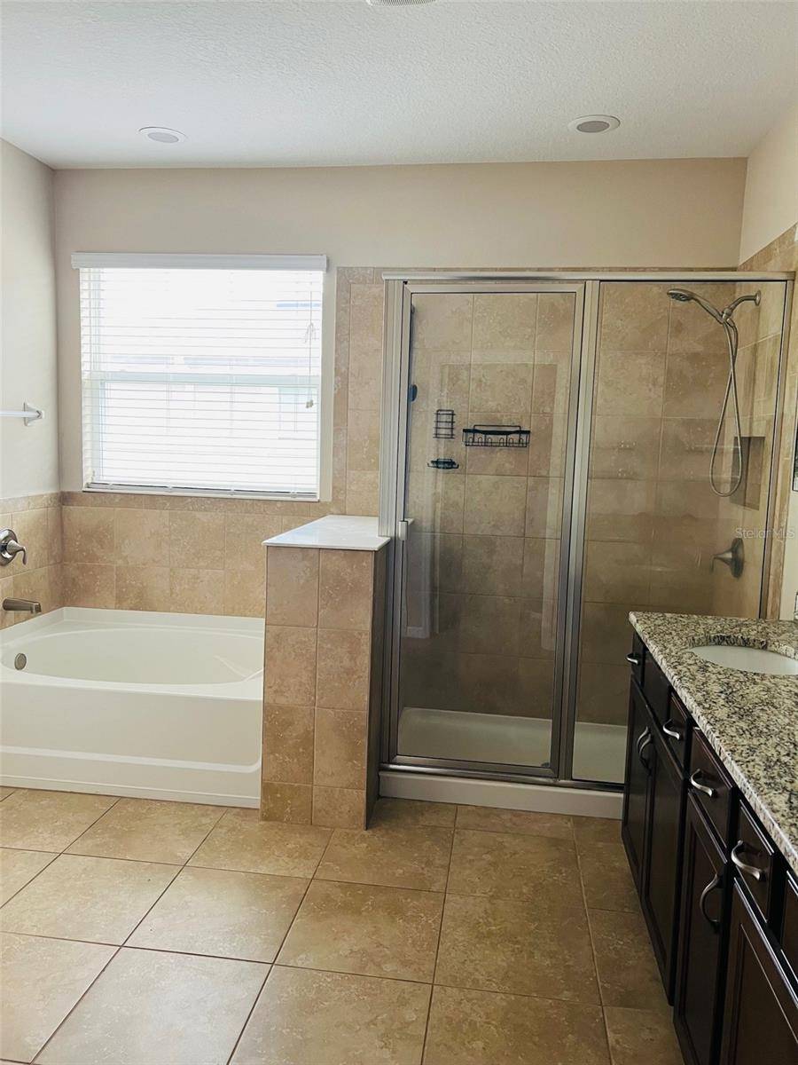 Wesley Chapel, FL 33543,32054 GODDARD DR