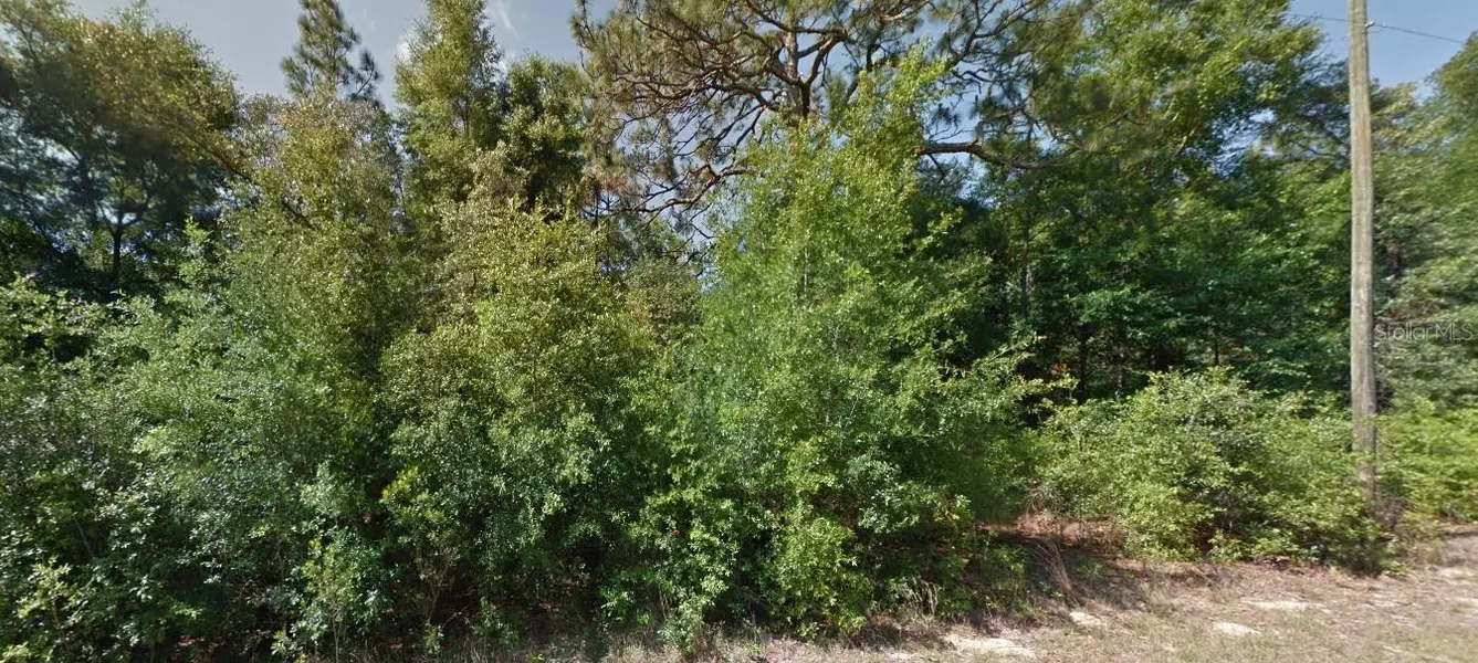 1952 W BEACH PLUM DR, Citrus Springs, FL 34434