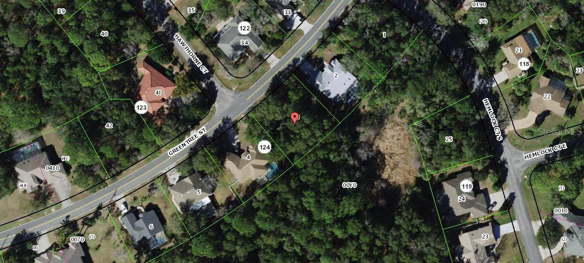 Homosassa, FL 34446,41 GREENTREE ST
