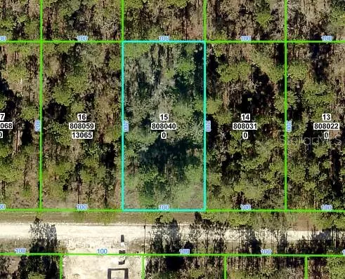 Weeki Wachee, FL 34614,13075 TINAMOU AVE