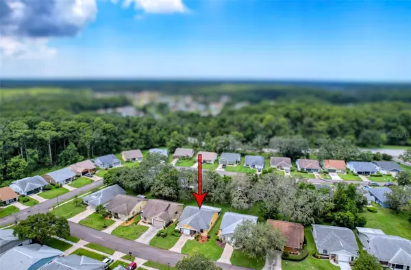 New Port Richey, FL 34654,11539 PEAR TREE DR