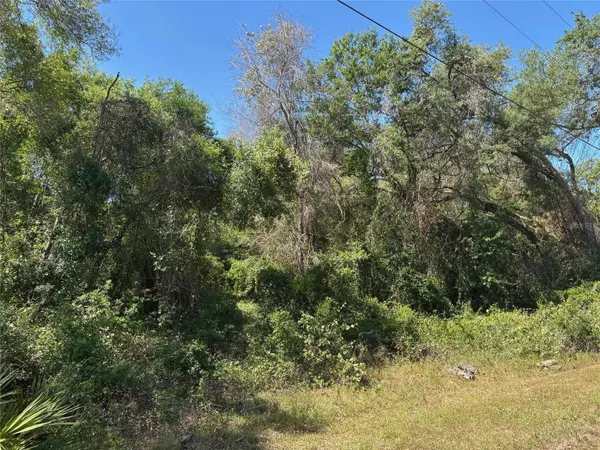 Dade City, FL 33523,Lot 175C MADISON AVE
