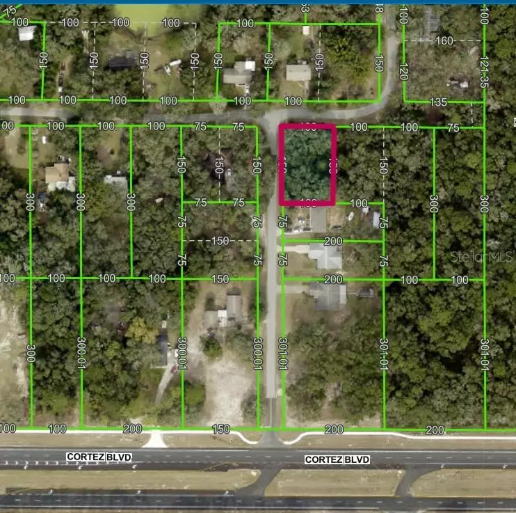 Dade City, FL 33523,Lot 175C MADISON AVE
