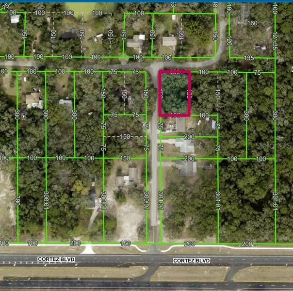 Lot 175C MADISON AVE, Dade City, FL 33523
