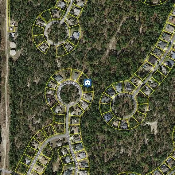 Homosassa, FL 34446,29 BLACK WILLOW CT N