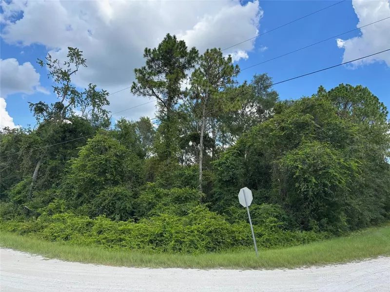 Lot 1 CANVASBACK RD, Brooksville, FL 34614