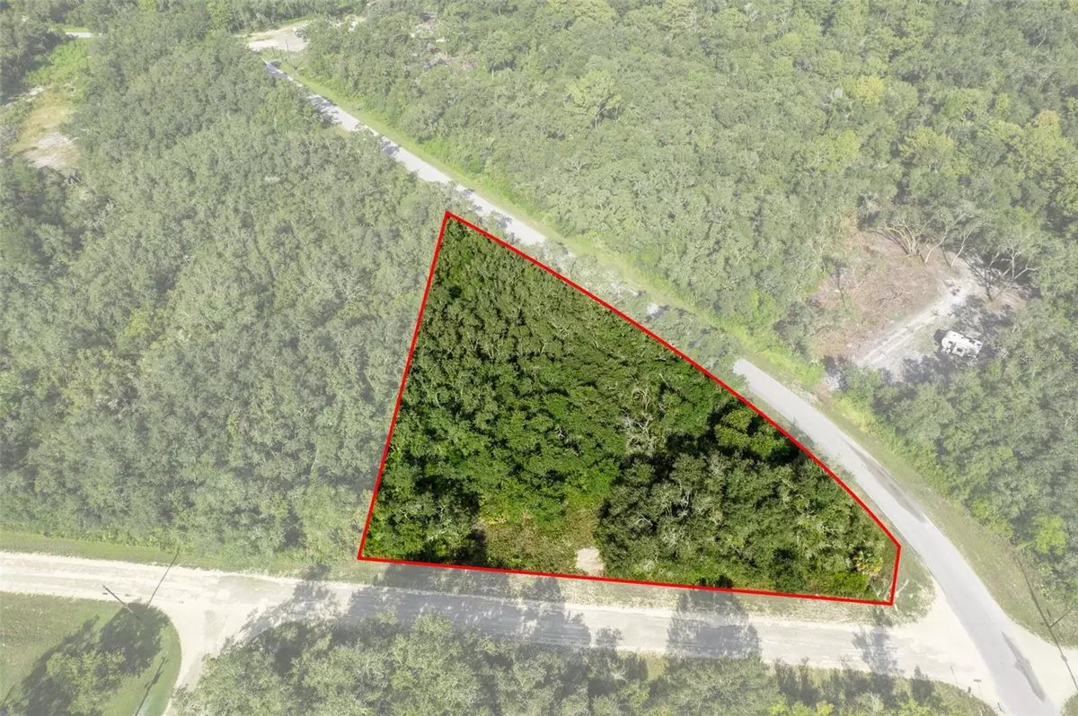 Webster, FL 33597,BIGELOW AVE