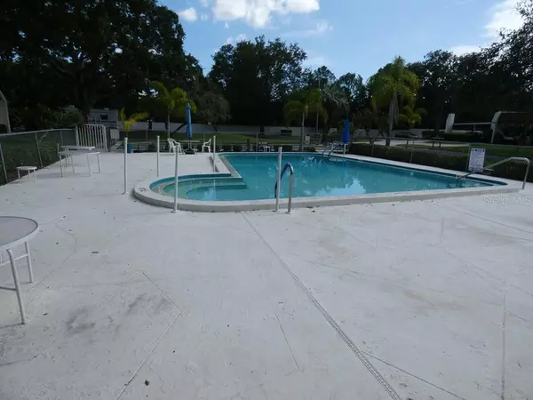 Palm Harbor, FL 34684,3123 MISSION GROVE DR #3123