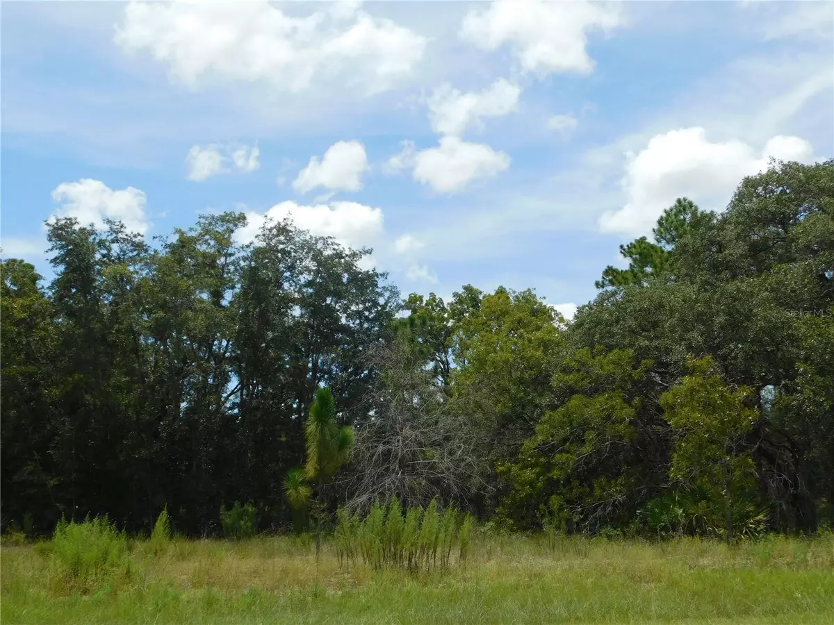 Dunnellon, FL 34434,6681 N BEDSTROW BLVD