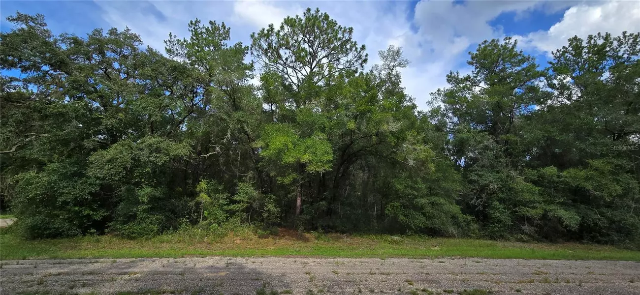 9427 N LAMPSON TER, Dunnellon, FL 34434