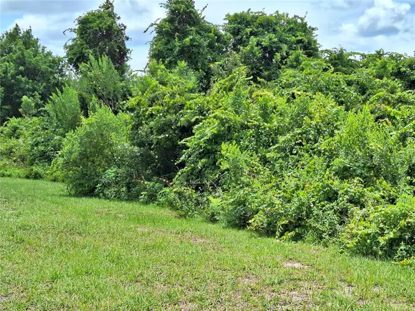 Spring Hill, FL 34610,15720 STABLE RUN DR