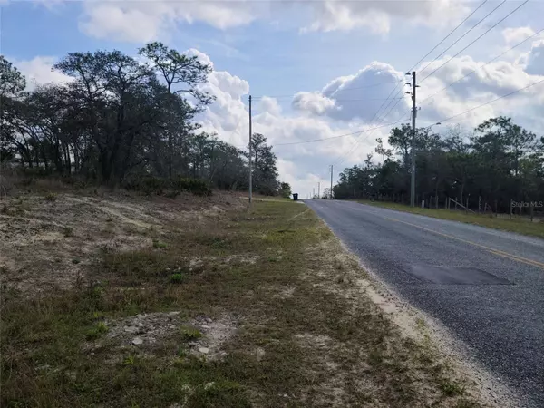 Weeki Wachee, FL 34614,12121 THRASHER AVE