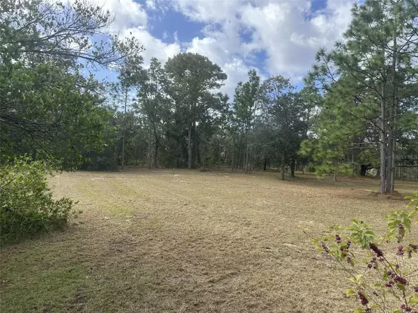 Homosassa, FL 34446,5634 W CLASSIC LN