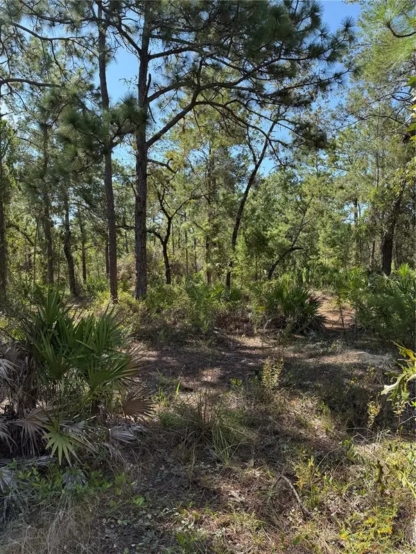 Weeki Wachee, FL 34613,9006 MICHIGAN AVE