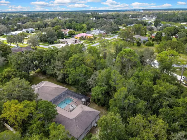 Spring Hill, FL 34609,351 ORIANA DR