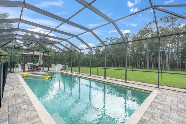 Odessa, FL 33556,7908 LADY LAKE LN