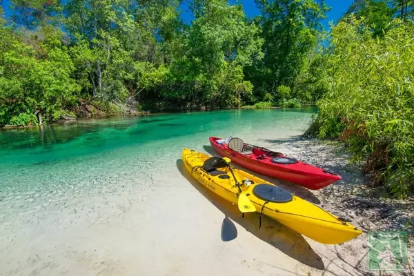 Weeki Wachee, FL 34613,6499 NEBULA ST