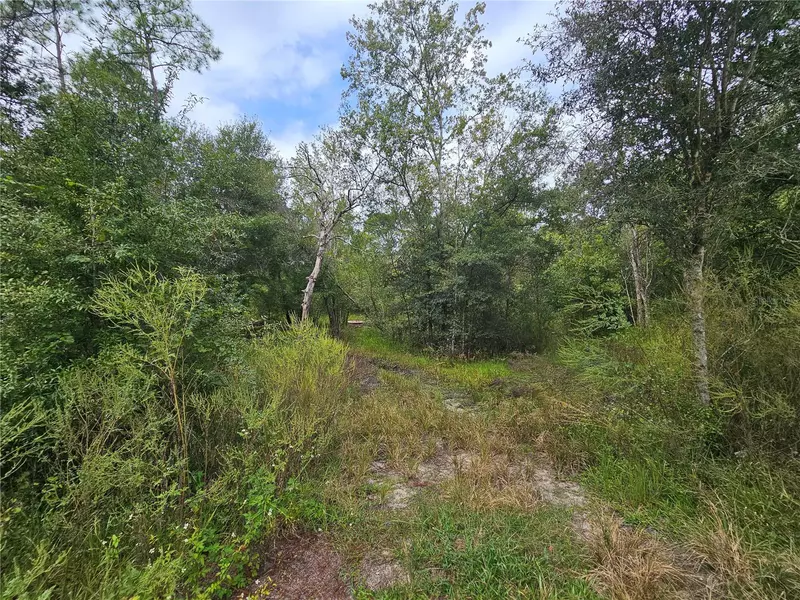 9125 BIGELOW AVE, Webster, FL 33597