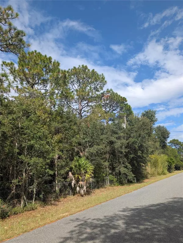 Homosassa, FL 34448,6499 W HERITAGE DR