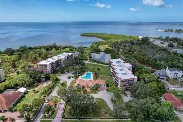 Tarpon Springs, FL 34689,504 S FLORIDA AVE #215