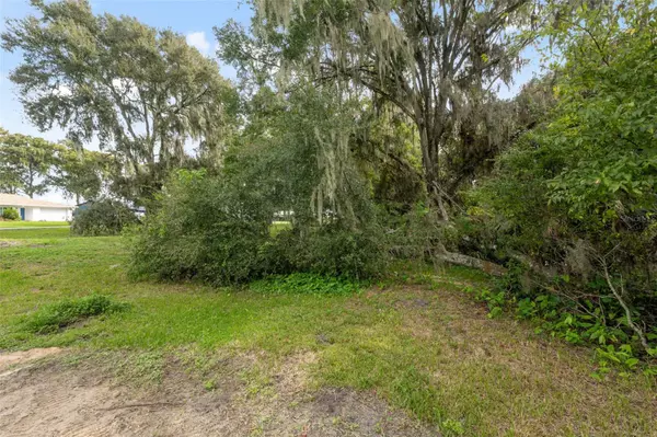 Lake Panasoffkee, FL 33538,CO RD 457
