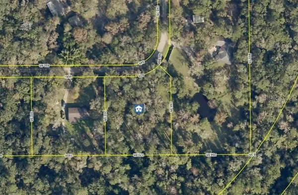 Brooksville, FL 34601,0 RAY BROWNING RD