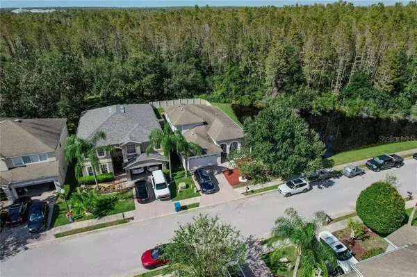 Trinity, FL 34655,12847 SOLOLA WAY