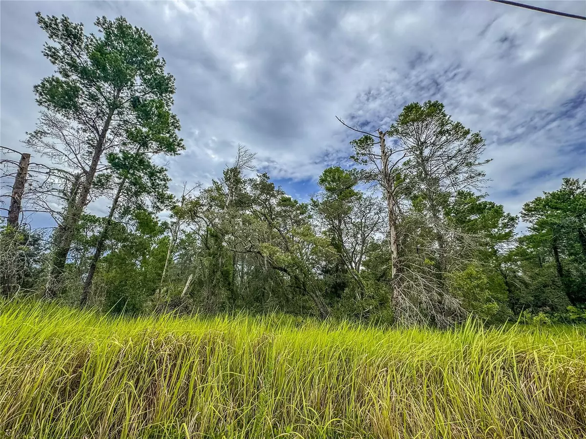 Weeki Wachee, FL 34613,0 BAHAMA SWALLOW AVE #9