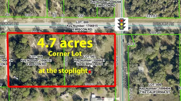 Brooksville, FL 34601,16250 WISCON RD