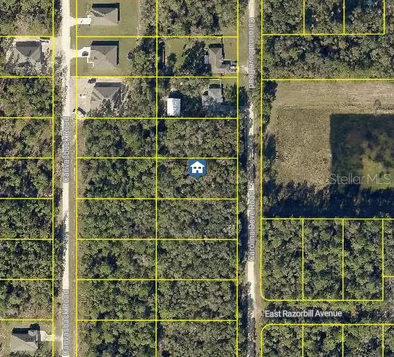 LOT 1021 CAROLINA DOVE RD, Brooksville, FL 34614